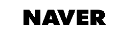 Naver logo on the home page